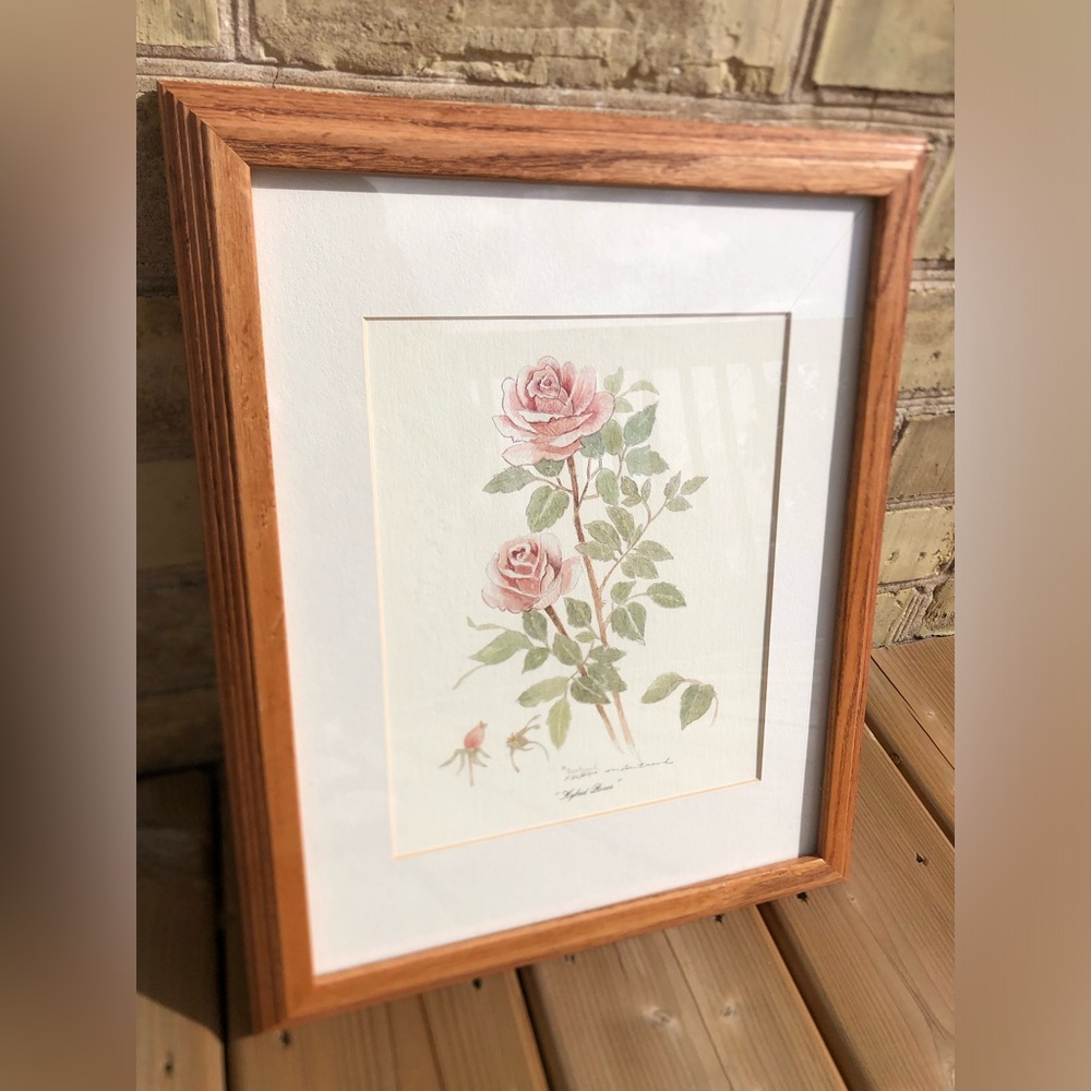 Mary Bertrand Rose Botanical Art Print